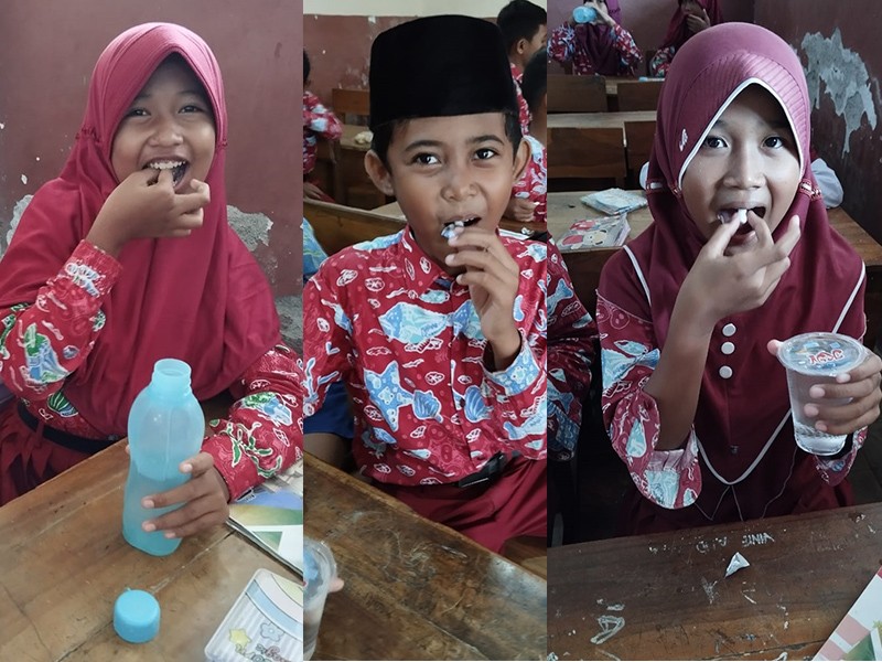 PEMBERIAN OBAT CACING